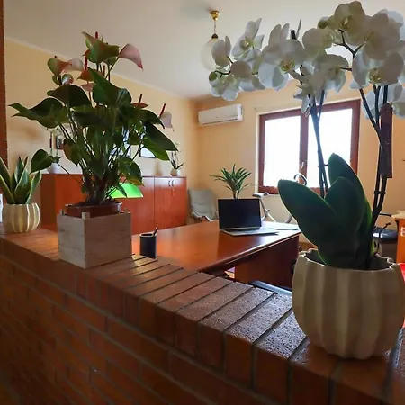 Apartment Osy