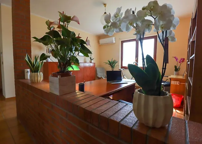 Апартаменты Osy