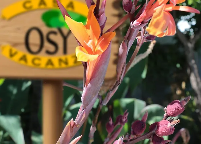 Апартаменты Osy